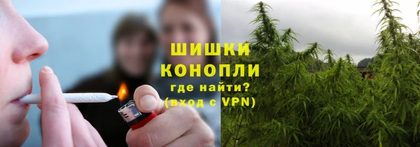 стаф Богородск