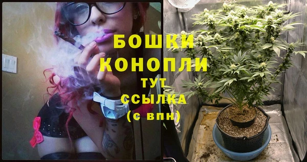 амфетамин Белокуриха