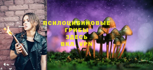 амфетамин Белокуриха