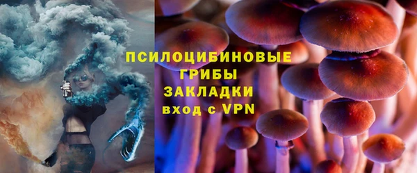 ешки Гусь-Хрустальный