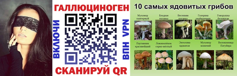 кракен зеркало  Севск  Псилоцибиновые грибы Psilocybe  сколько стоит 
